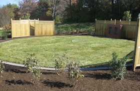memorial garden plot: october 2010