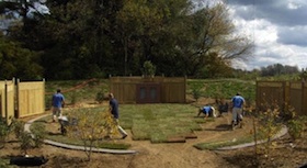 working on the garden plot